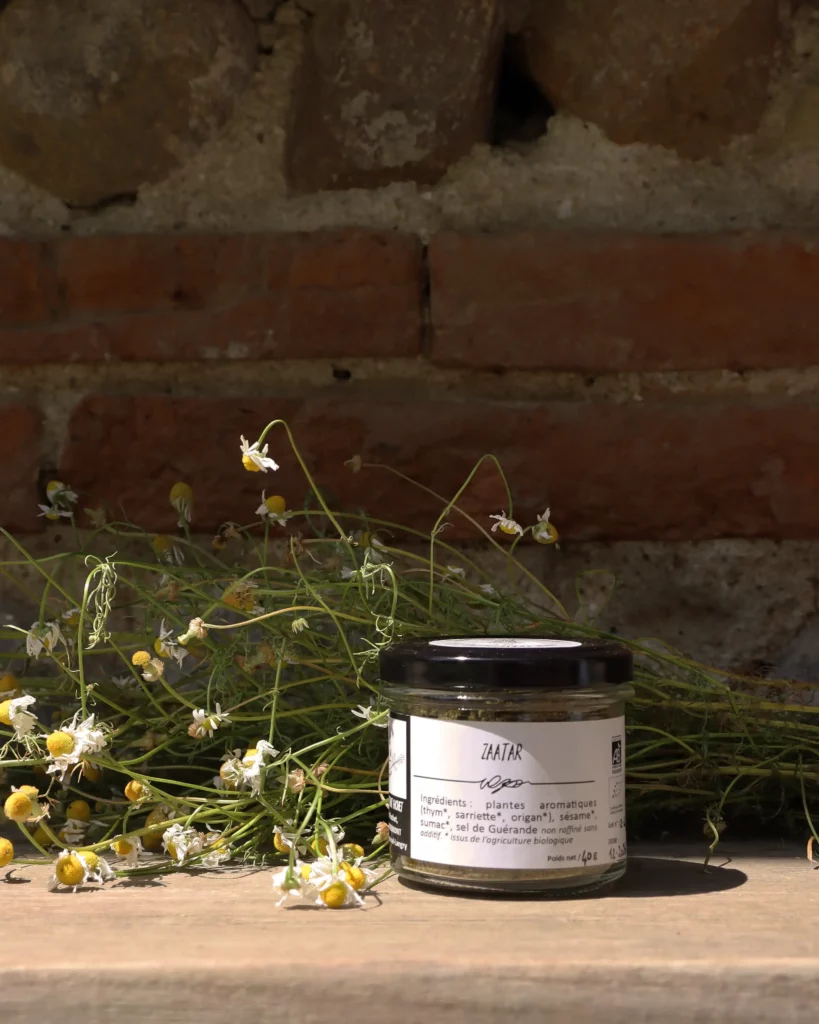 Zaatar Trait Fachet